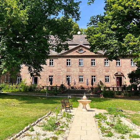 Schloss Zingst Querfurt Zewnętrze zdjęcie