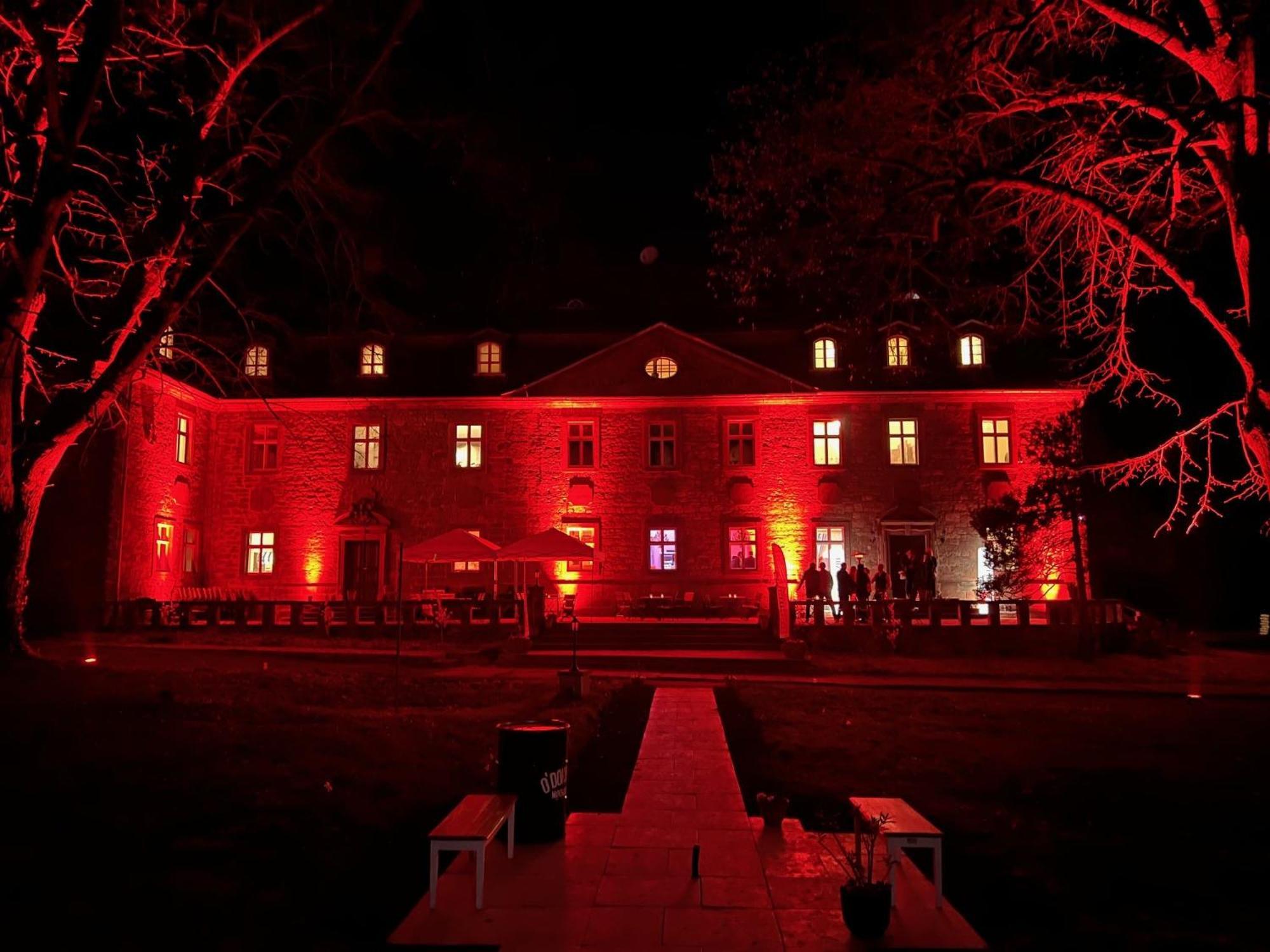 Schloss Zingst Querfurt Zewnętrze zdjęcie