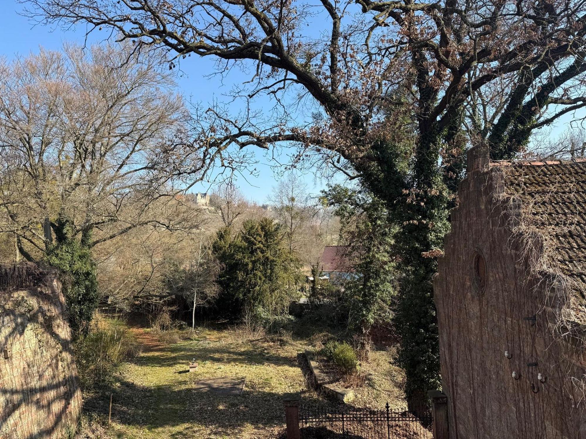 Schloss Zingst Querfurt Zewnętrze zdjęcie