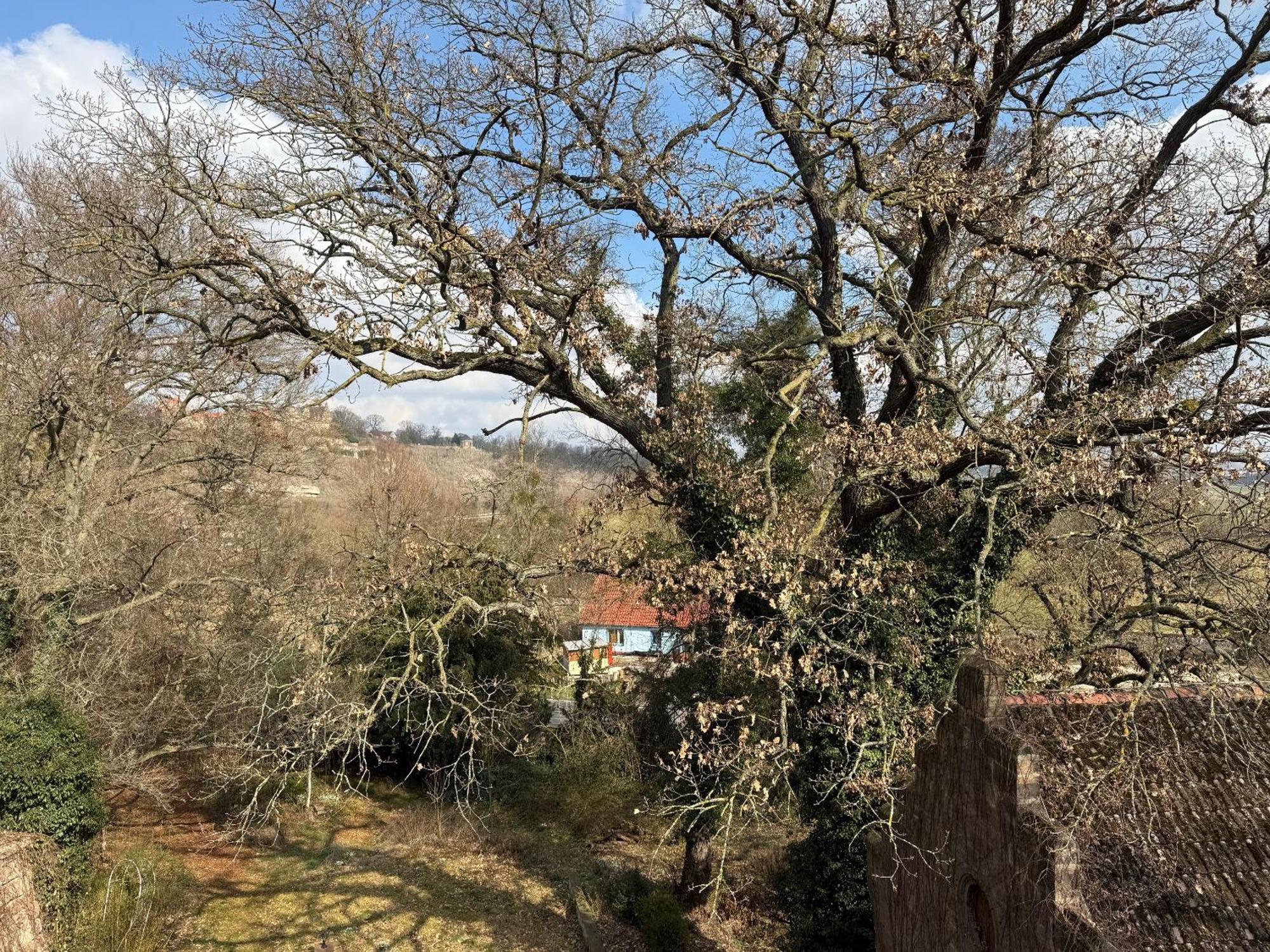 Schloss Zingst Querfurt Zewnętrze zdjęcie