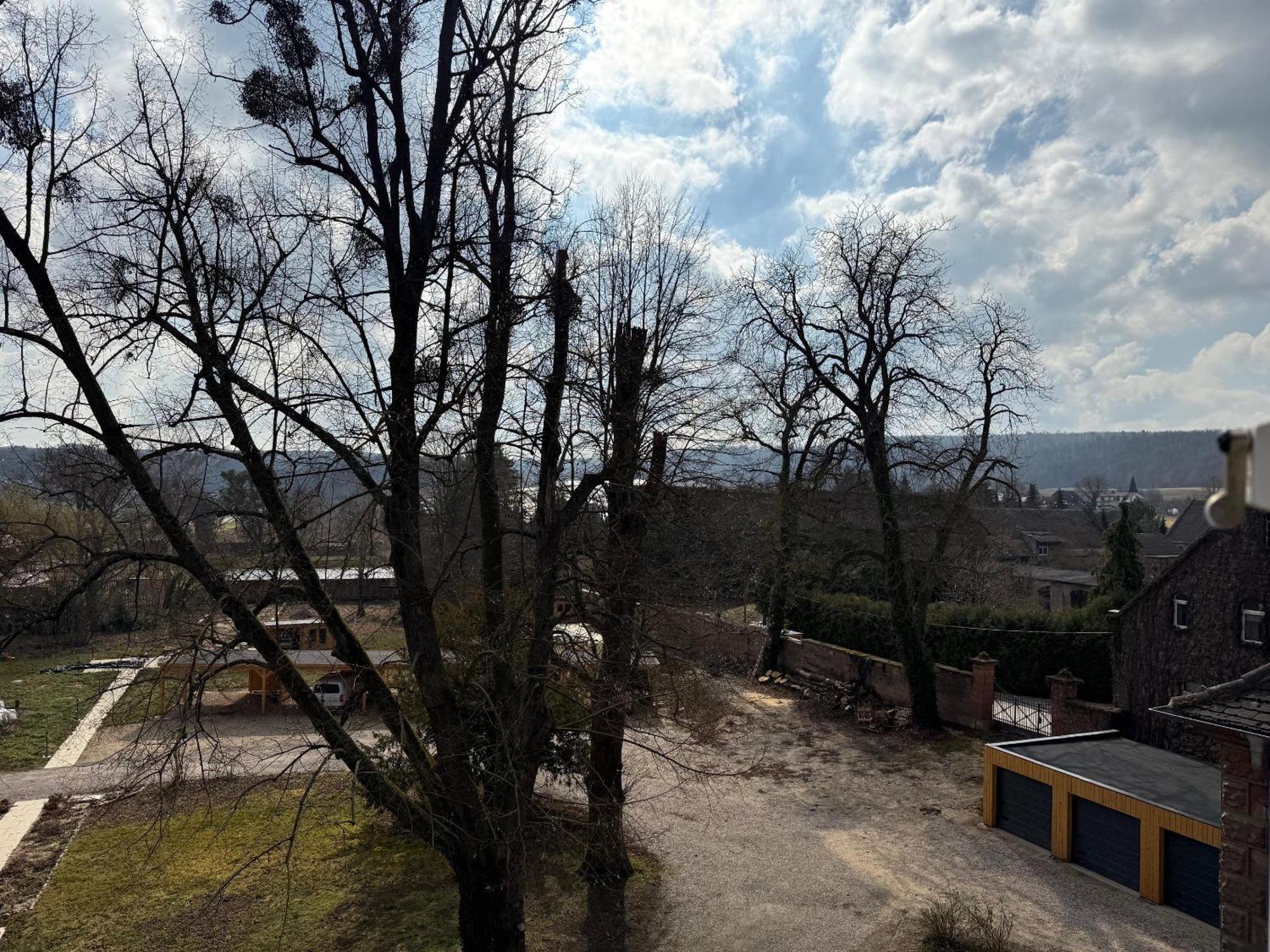 Schloss Zingst Querfurt Zewnętrze zdjęcie
