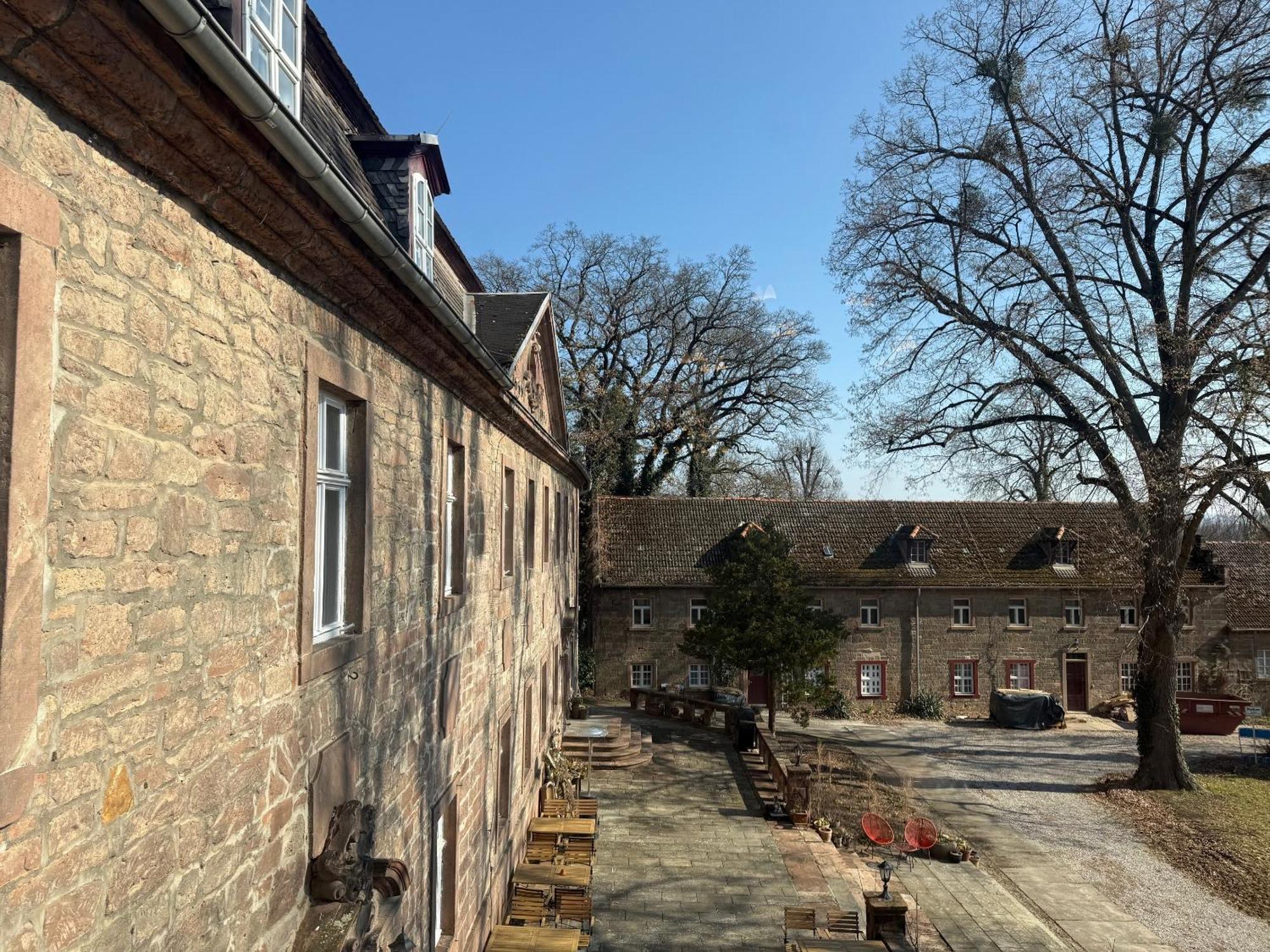 Schloss Zingst Querfurt Zewnętrze zdjęcie