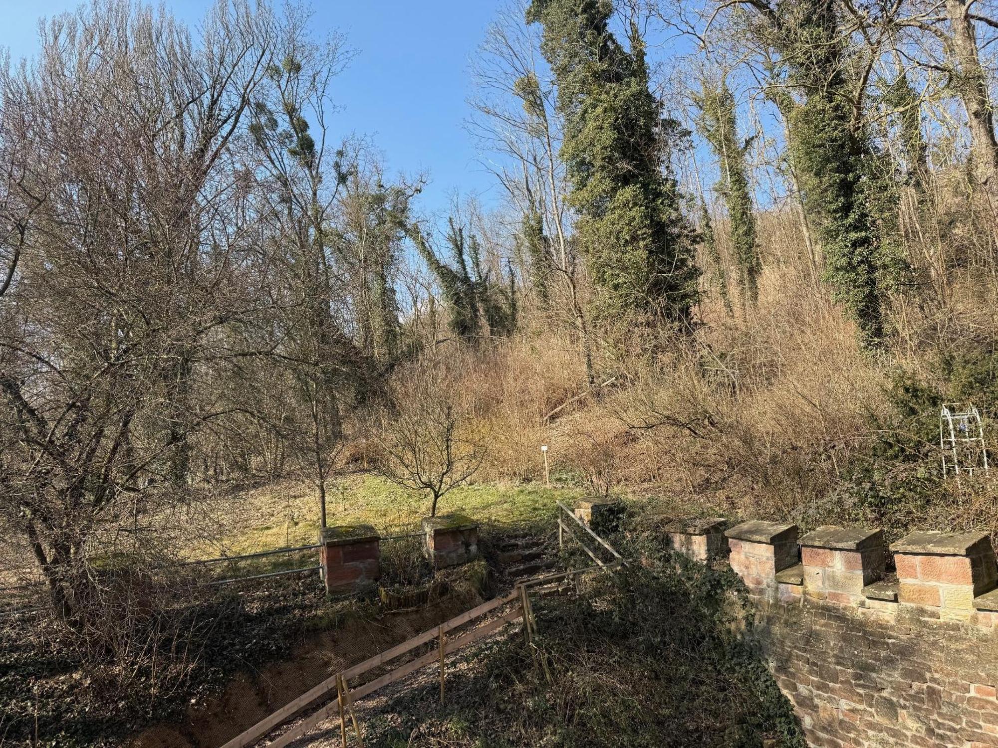 Schloss Zingst Querfurt Zewnętrze zdjęcie