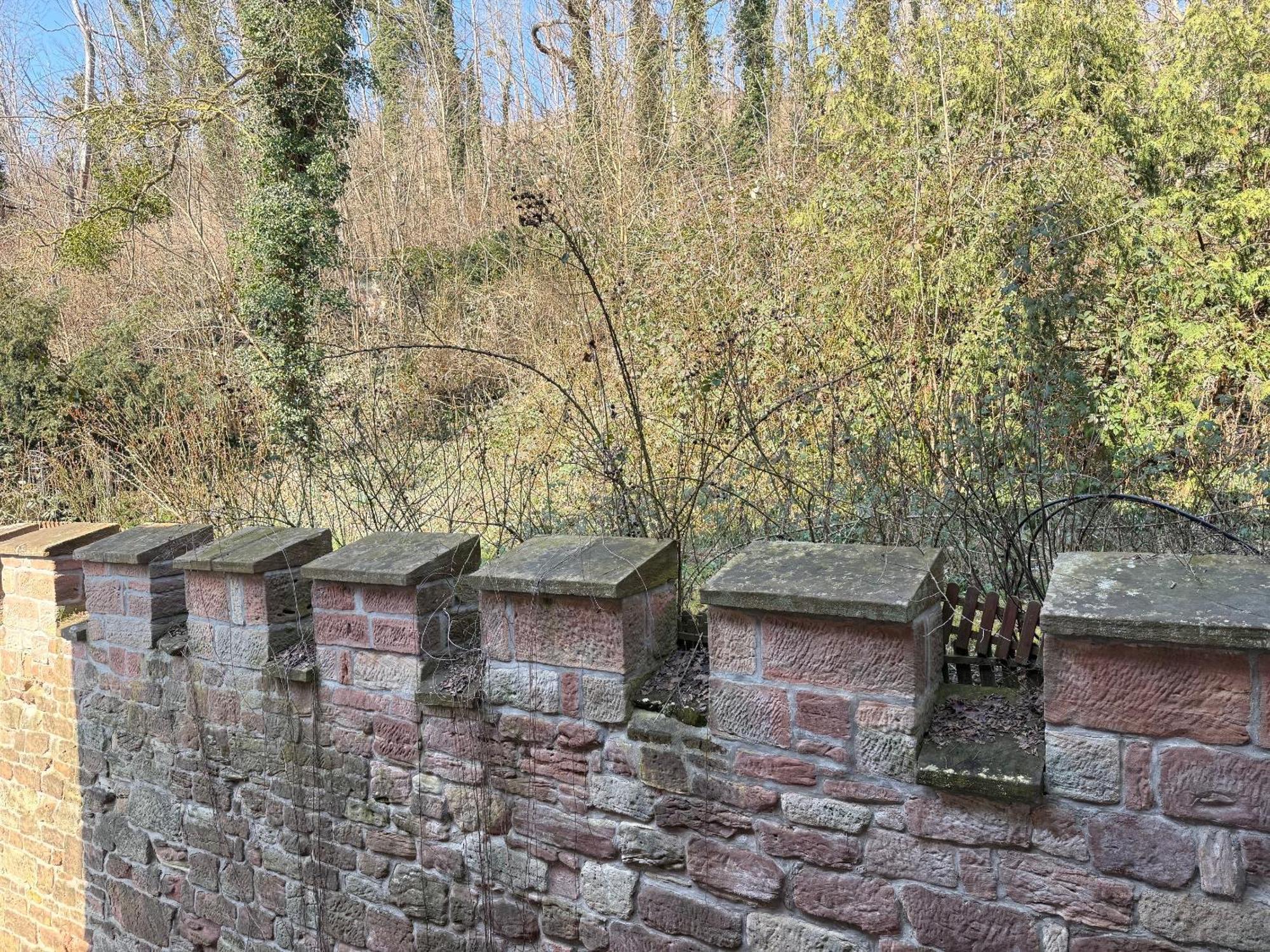 Schloss Zingst Querfurt Zewnętrze zdjęcie