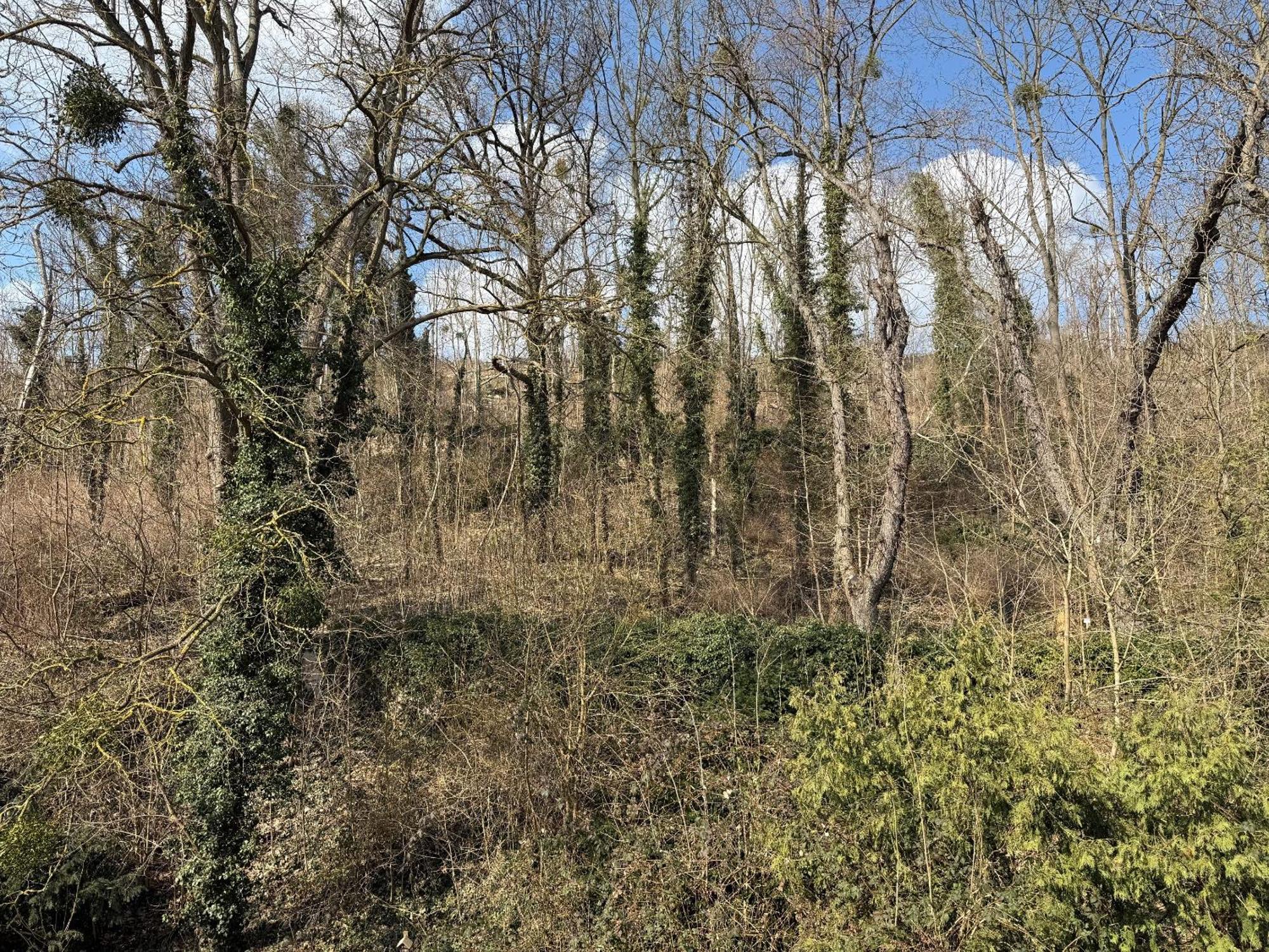 Schloss Zingst Querfurt Zewnętrze zdjęcie